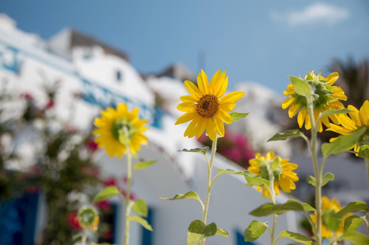 Annio Santorini Imerovigli (Santorini) Exterior foto